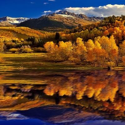 B sport官方下载入口