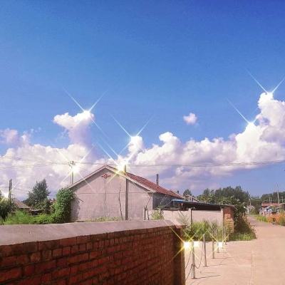 B sport官方下载入口